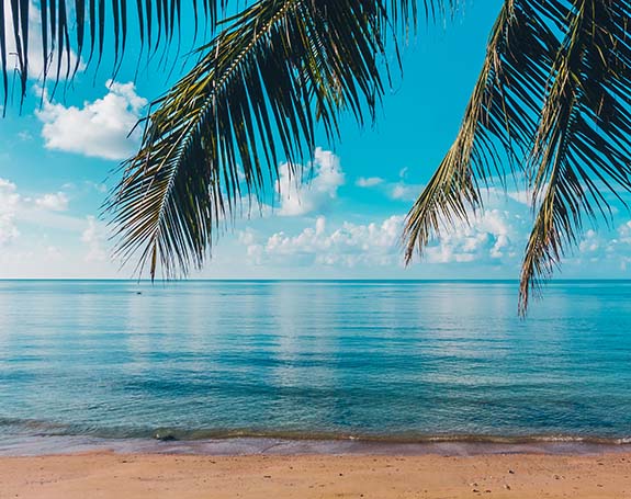 Découvrez notre agence d'interim Martinique