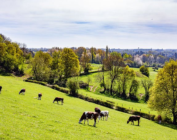 ARTUS - agence d'interim Avranches