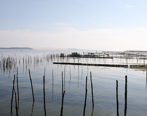 Decouvrir l'agence d'interim d'Arcachon